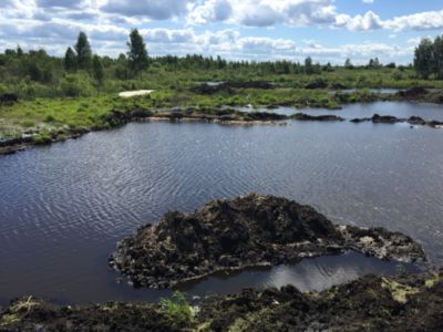 Купить торф Икша